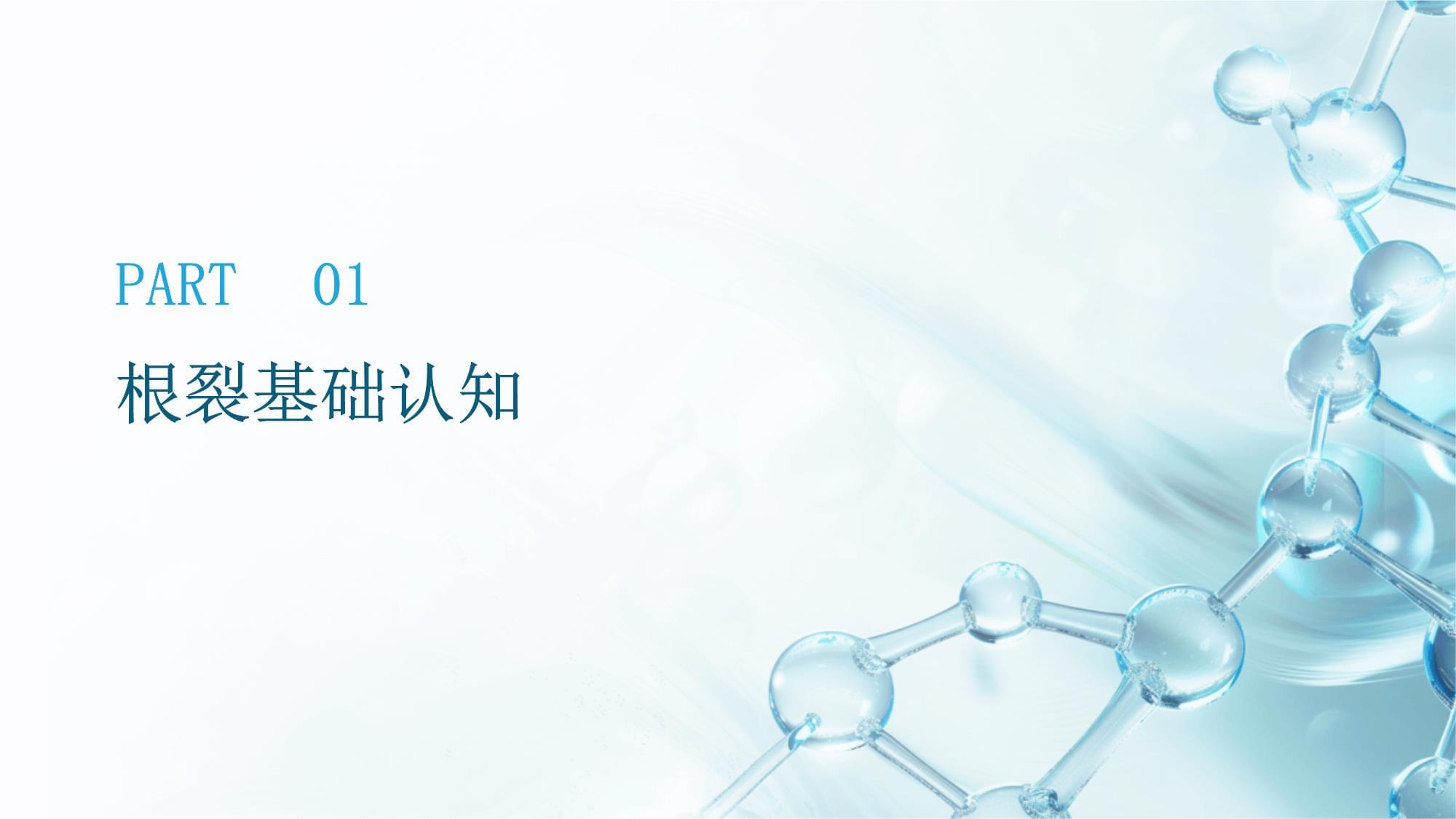 口腔牙齒根裂的臨床診療體系構(gòu)建與優(yōu)化——提升口腔診療服務(wù)質(zhì)量的關(guān)鍵路徑